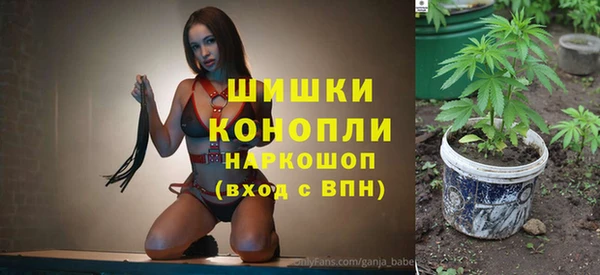прущая мука Нея